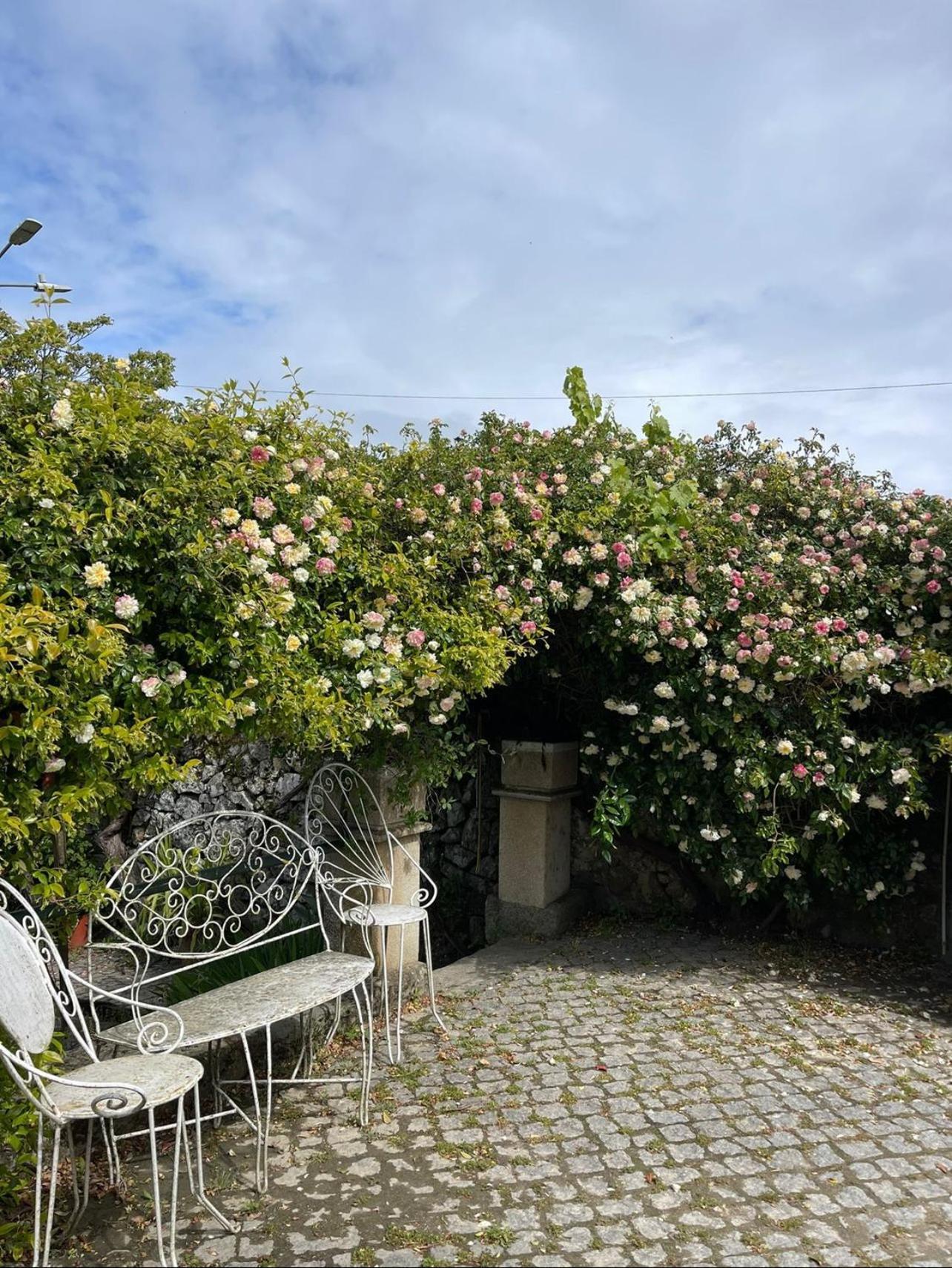 Quinta Santo Antonio Do Rio Villa Celorico da Beira Kültér fotó