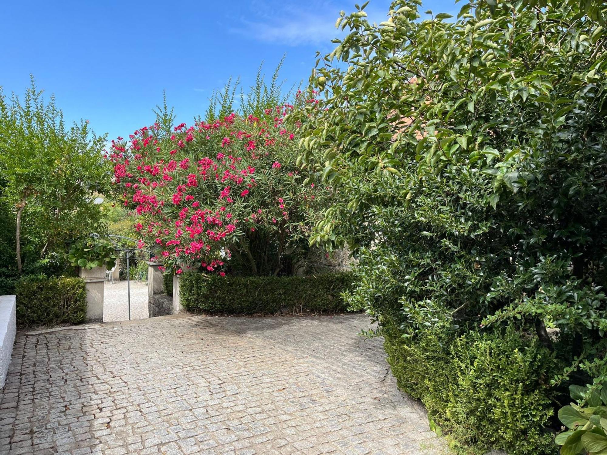 Quinta Santo Antonio Do Rio Villa Celorico da Beira Kültér fotó